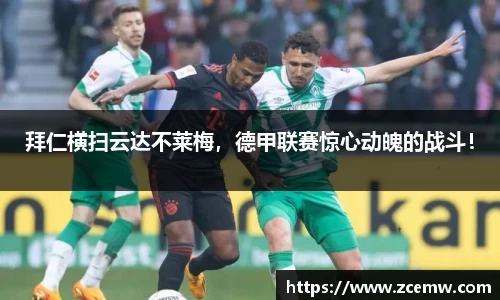 mk体育官网登录平台